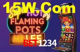 Sinta a adrenalina dos jogos de cassino com Bet1234